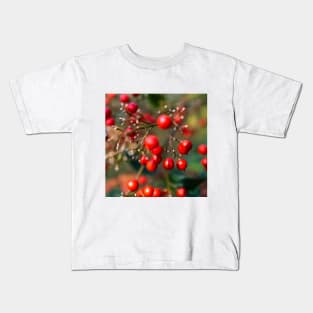 Photography - winter red berry Kids T-Shirt